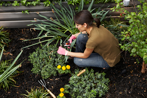 Gardening Gardening